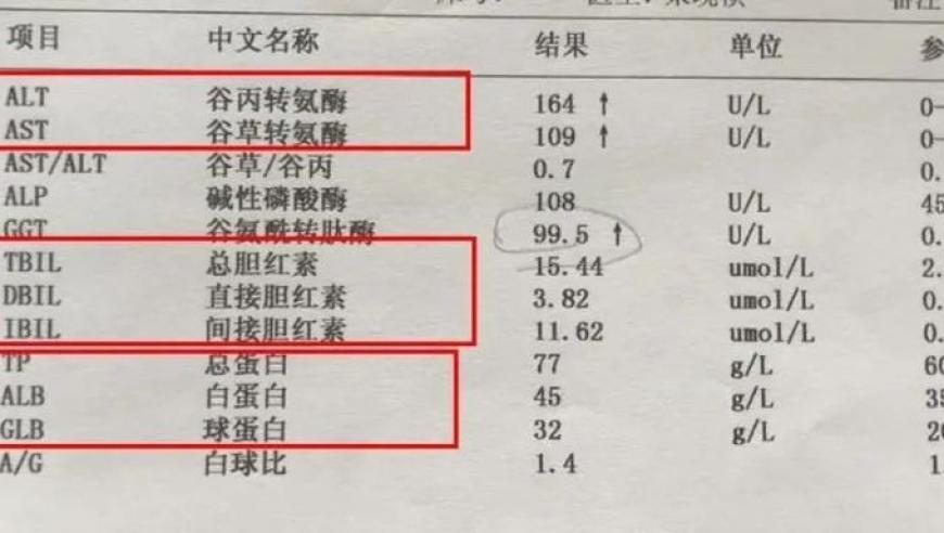 新澳门六开彩资料免费大,国家网信办依法查处一批App,确保成语解释落实的问题_优选版V15.96