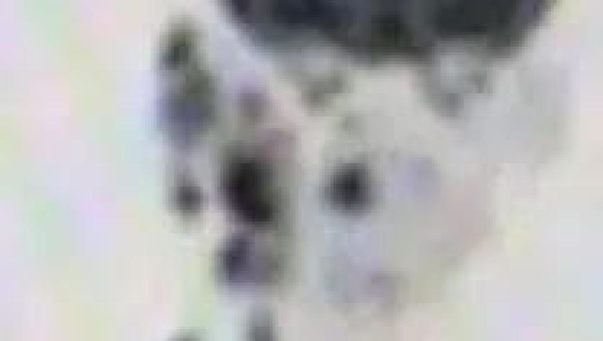墨西哥一婴儿刚出生就被生父遗弃,澳门最快开奖9494开奖网站查询,国产化作答解释落实_工具版V10.24