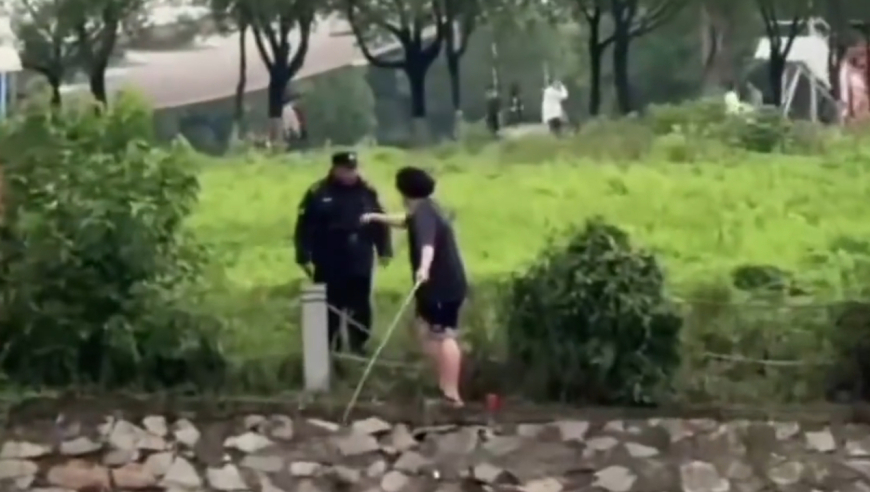 国家提振消费专项行动方案来了,澳门精准兔费资料大全,整体规划执行讲解_扩展版V6.9